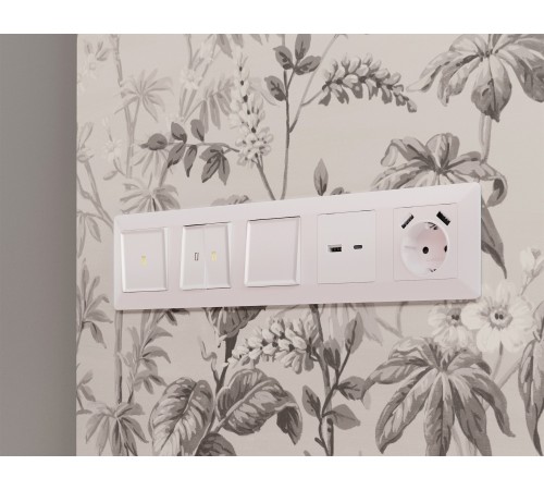 Накладка для розетки type A и C Ambrella Volt AP2110 Quant