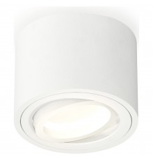 Накладной светильник Ambrella Light XS7510001 XS