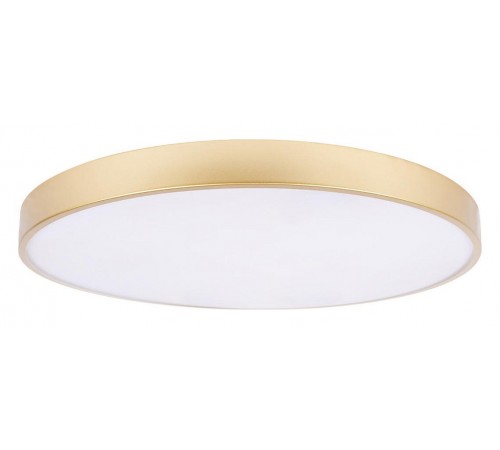 Накладной светильник Loft it 10228/B Flims