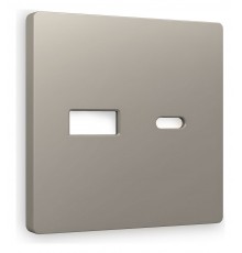 Накладка для розетки type A и C Ambrella Volt AP3710 Quant