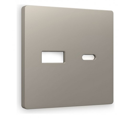 Накладка для розетки type A и C Ambrella Volt AP3710 Quant