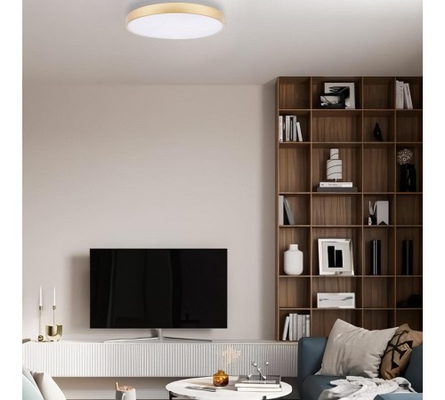 Накладной светильник Loft it 10228/B Flims
