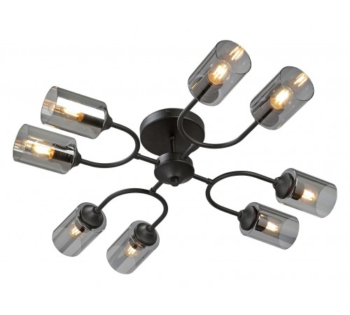 Потолочная люстра Vitaluce V2823-1/8PL V2823