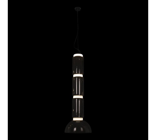 Подвесной светильник Loft it 10192/L Noctambule