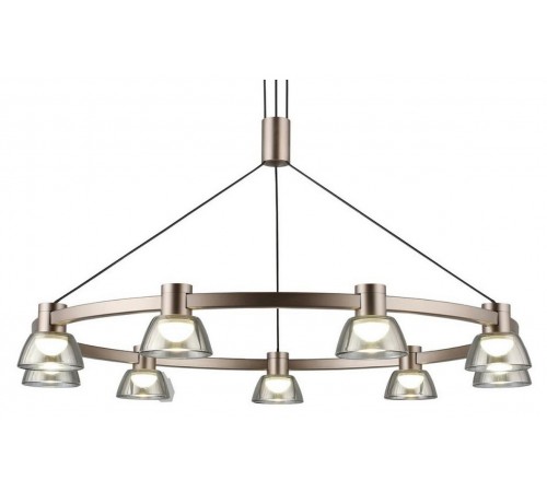 Подвесная люстра Aployt APL.788.03.09 Rezeda