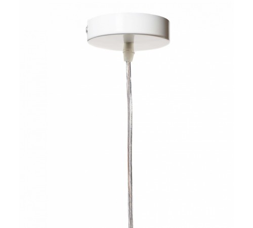 Подвесной светильник Loft it LOFT1806 Wildlife