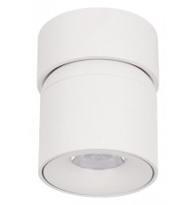 Накладной светильник Loft it 10180 White 4000K Tictac