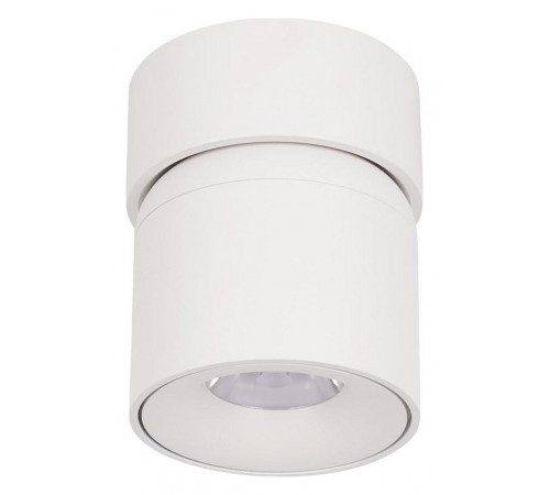 Накладной светильник Loft it 10180 White 4000K Tictac