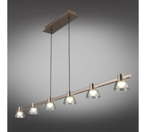 Подвесной светильник Aployt APL.788.03.06 Rezeda