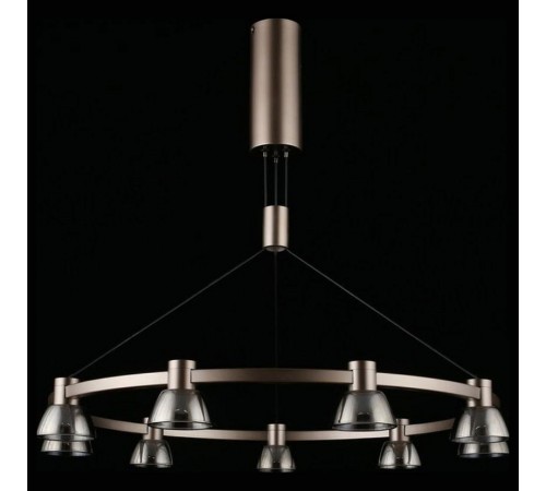 Подвесная люстра Aployt APL.788.03.09 Rezeda