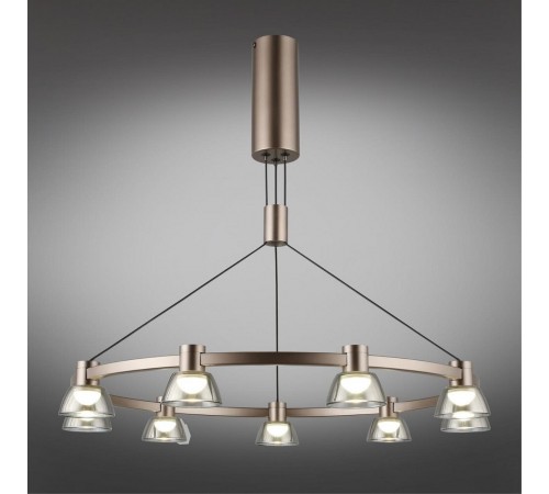 Подвесная люстра Aployt APL.788.03.09 Rezeda