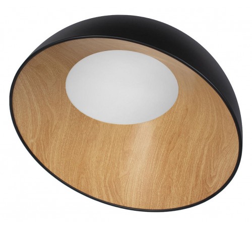 Накладной светильник Loft it 10197/500 Black Egg