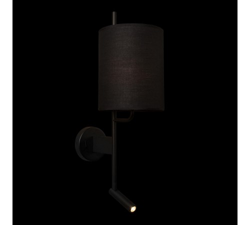 Бра с подсветкой Loft it 10253W/B Black Ritz