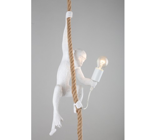 Подвесной светильник Aployt APL.309.06.01 Magali