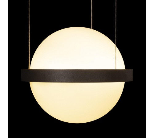 Подвесной светильник Loft it 10121/1P Dark grey Jardin