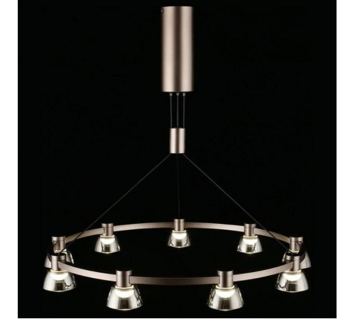 Подвесная люстра Aployt APL.788.03.09 Rezeda