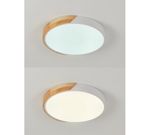 Накладной светильник Natali Kovaltseva LED LAMPS 81181 Scandinavian