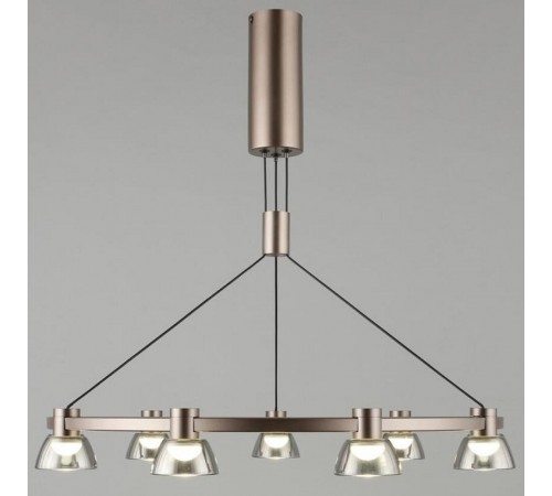 Подвесная люстра Aployt APL.788.03.09 Rezeda