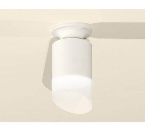 Накладной светильник Ambrella Light XS6301105 XS