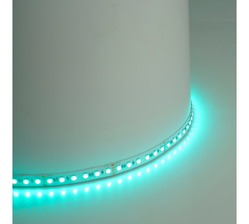 Лента светодиодная Feron 51823 LS501