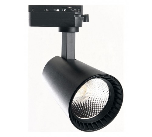 Светильник на штанге Feron 41606 AL100