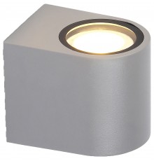 Накладной светильник Ambrella Light ST3721 ST