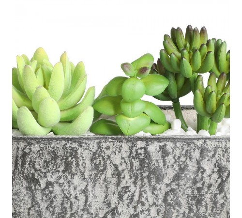 Растение в горшке (178x75x145) Chitose 428009