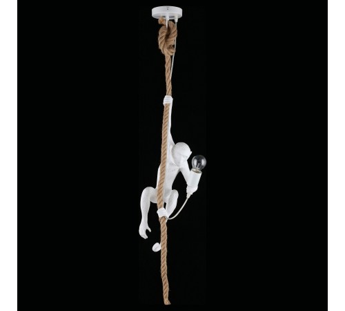 Подвесной светильник Aployt APL.309.06.01 Magali