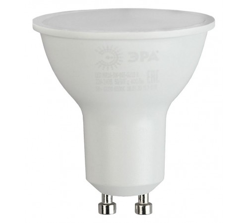 Лампа светодиодная Эра Б0045346 ЭКО