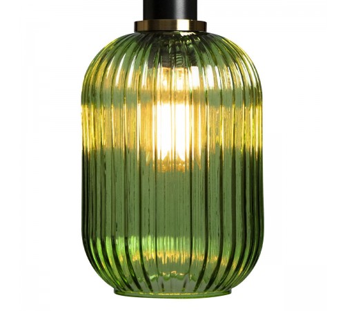 Подвесной светильник Loft it 2072-A+BL Iris 2