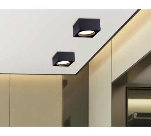 Накладной светильник Ambrella Light TN70866 TN