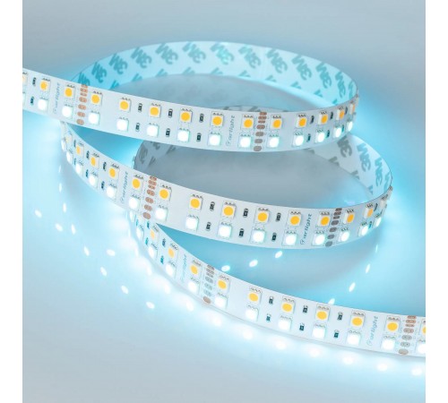 Лента светодиодная Arlight 018144(3) RT открытая