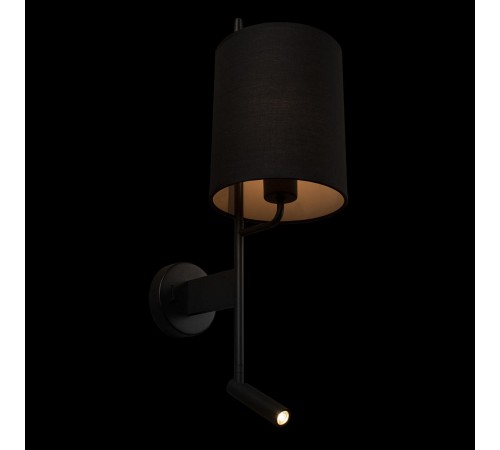 Бра с подсветкой Loft it 10253W/B Black Ritz