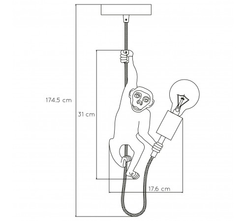 Подвесной светильник Lucide 10402/01/30 Extravaganza Chimp