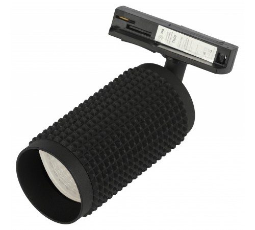 Светильник на штанге Эра TR40-GU10 BK