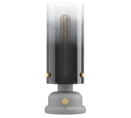 Настольная лампа декоративная Eglo 43929 Gargrave