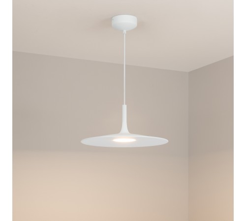 Подвесной светильник Arlight 035999 FIORE