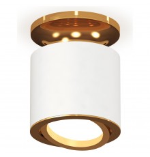 Накладной светильник Ambrella Light XS7401120 XS