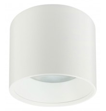 Накладной светильник Эра Б0048535 OL8