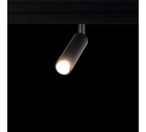 Светильник на штанге Loft it T015-06 Tech