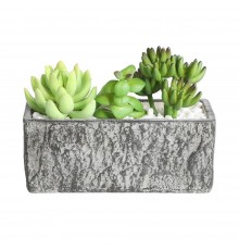 Растение в горшке (178x75x145) Chitose 428009