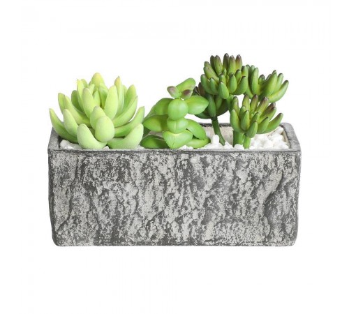 Растение в горшке (178x75x145) Chitose 428009