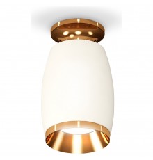 Накладной светильник Ambrella Light XS1122044 XS