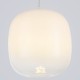 Подвесной светильник Ambrella Light LH11091 LH