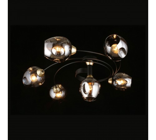 Потолочная люстра Aployt APL.611.17.06 Flor