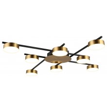 Потолочная люстра Aployt APL.042.07.56 Delayn