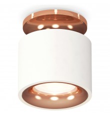 Накладной светильник Ambrella Light XS7510141 XS