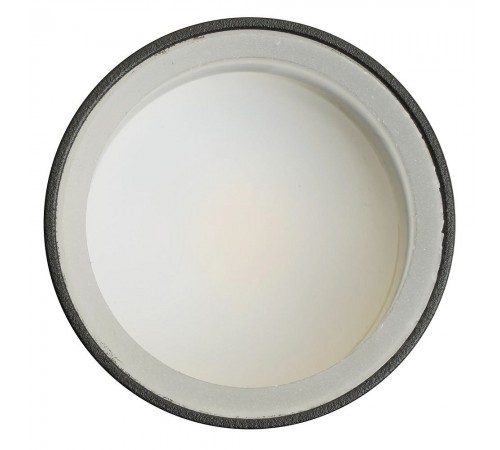 Светильник на штанге Feron 51371 ML1001