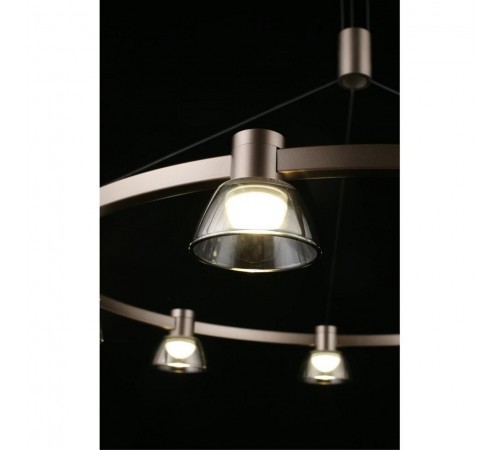 Подвесная люстра Aployt APL.788.03.09 Rezeda