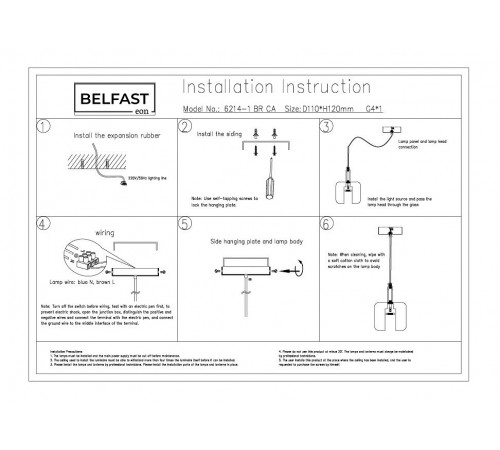 Подвесной светильник Belfast 6214-1 BR CA Pansy